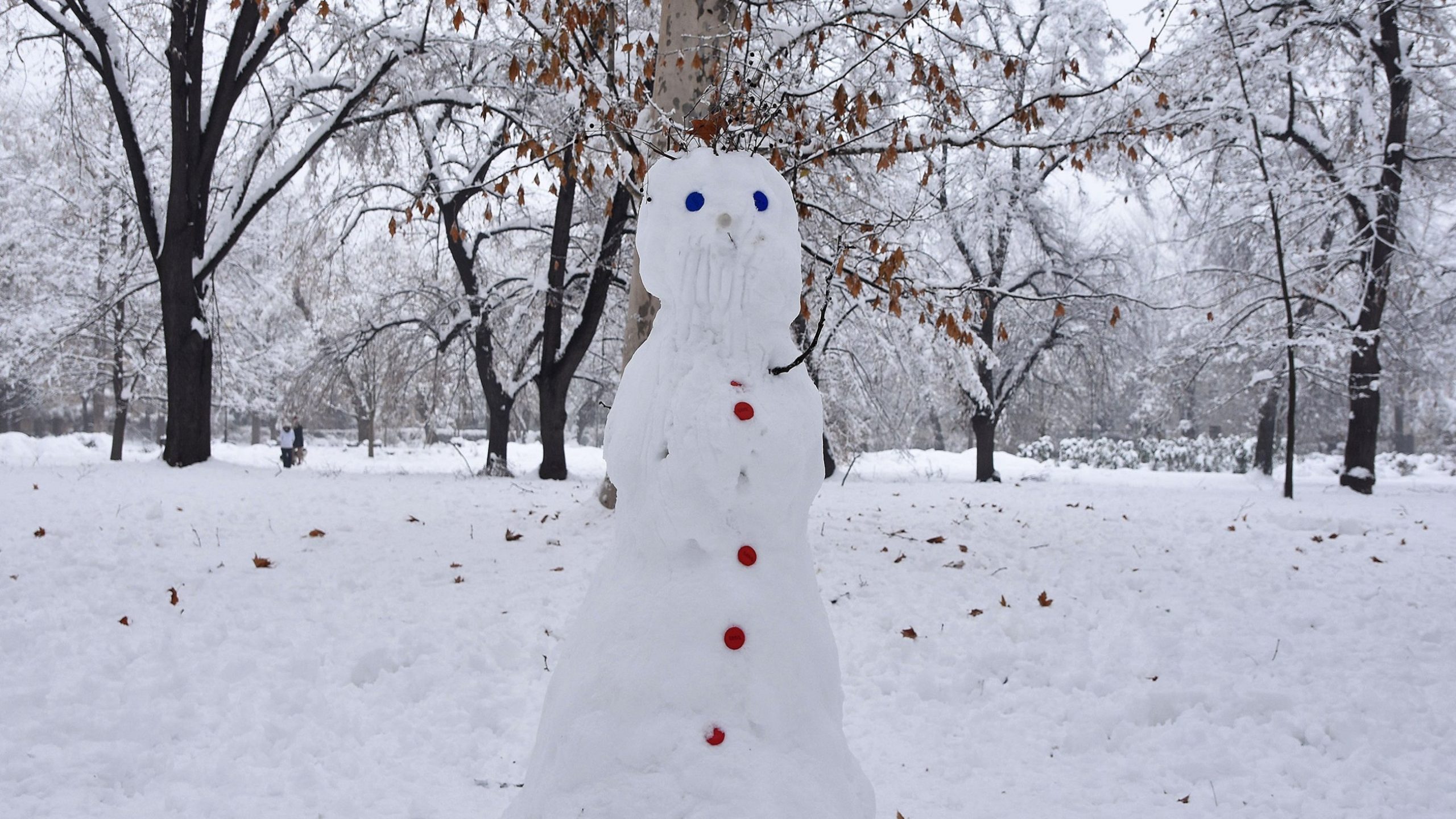 U Srbiji sutra sneg, RHMZ upozorava na formiranje visokog snežnog pokrivača 1