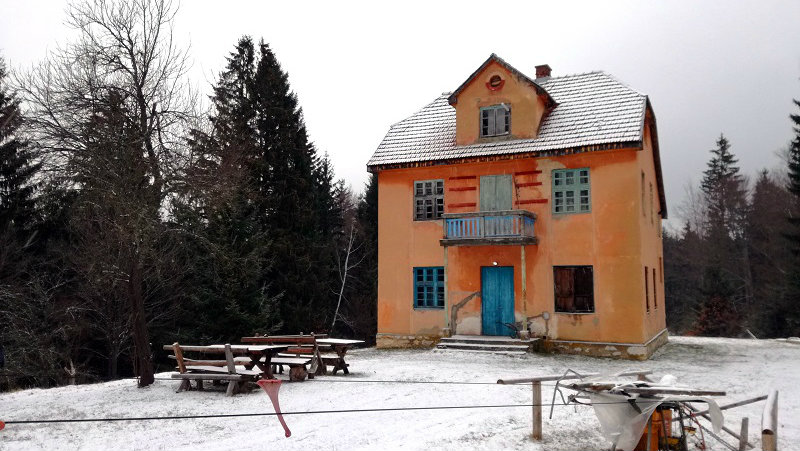 Tara za početnike: Medvedi, omorika, liker od kupine 5