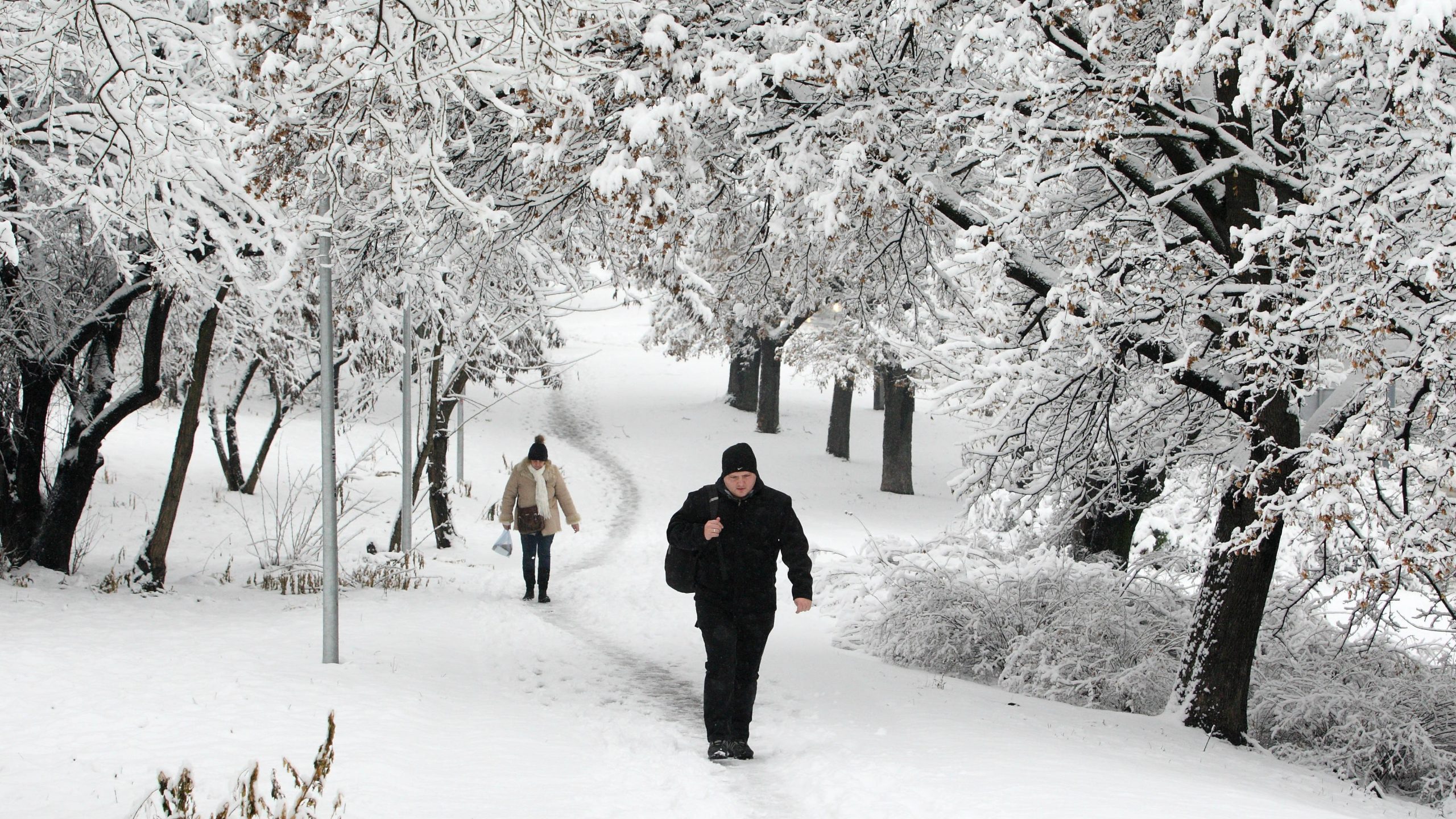 Todorović (RHMZ): Vremenska prognoza se ostvarila 1