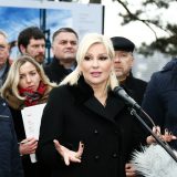 Mihajlović: Okupljanje građana koji hoće da pozdrave Putina i Vučića nije kontramiting 4