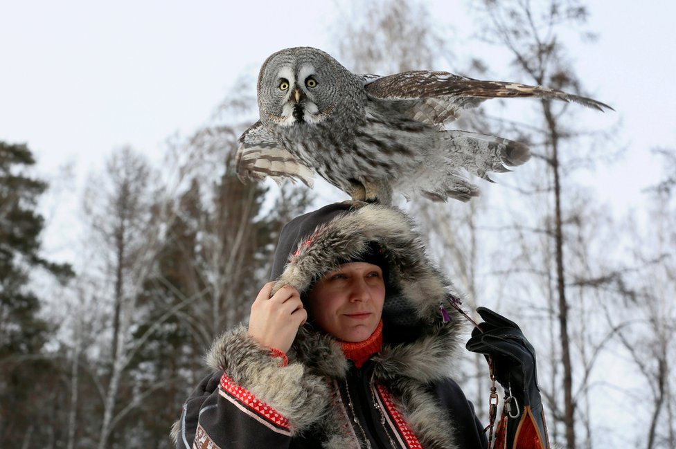 Mykh, a two-year-old Great Gray Owl, sits on the head of ornithologist Daria Koshcheyeva