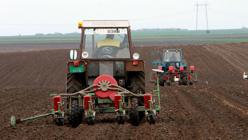 Vlast jeftinije gorivo najavljuje pred svake izbore 1