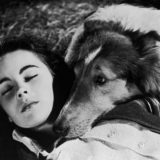 Holivud - medijska prestonica sveta i genijalni duh sistema 13