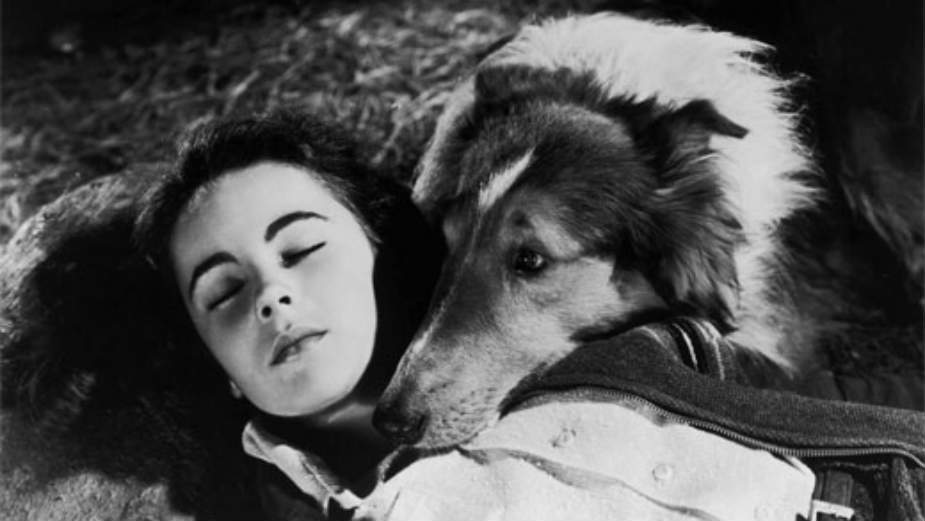 Holivud - medijska prestonica sveta i genijalni duh sistema 1