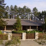 Sveti Trifun podno Oplenca 13