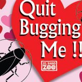 Zoo vrt u Teksasu: Provedite Dan zaljubljenih sa bubašvabama 4