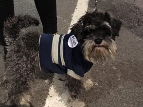 Vidojković na protestu "1 od 5 miliona": Građani su Vučićevi taoci (FOTO, VIDEO) 16