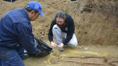 Viminacijum - otkrivena nekropola germanskog ratnika Gepida Nekropola germanskog ratnika otkrivena u Viminacijumu (FOTO) 9
