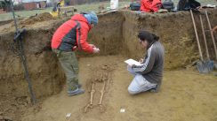 Viminacijum - otkrivena nekropola germanskog ratnika Gepida Nekropola germanskog ratnika otkrivena u Viminacijumu (FOTO) 8