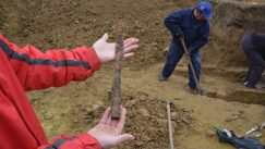 Viminacijum - otkrivena nekropola germanskog ratnika Gepida Nekropola germanskog ratnika otkrivena u Viminacijumu (FOTO) 7