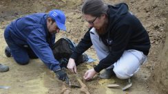 Viminacijum - otkrivena nekropola germanskog ratnika Gepida Nekropola germanskog ratnika otkrivena u Viminacijumu (FOTO) 4