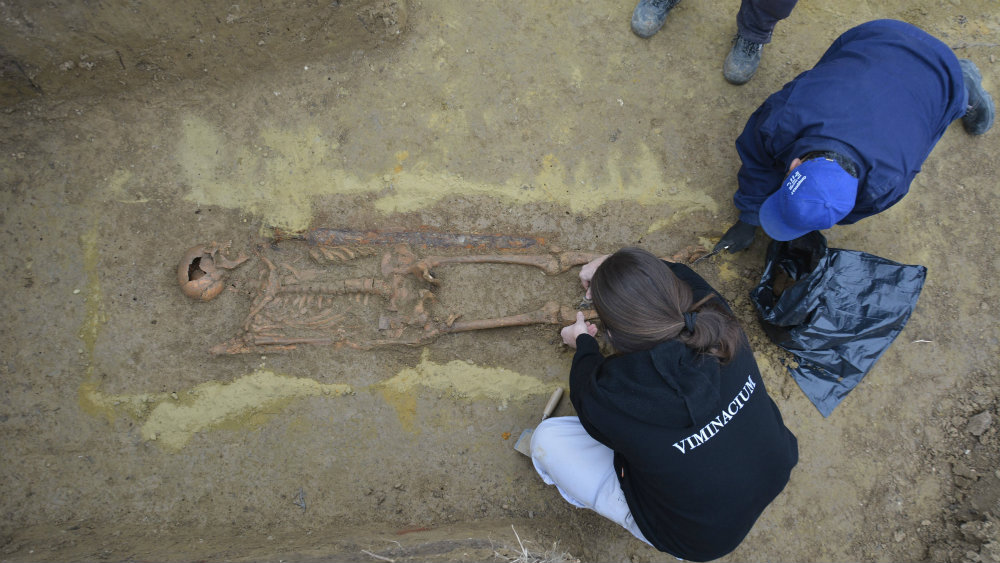 Nekropola germanskog ratnika otkrivena u Viminacijumu (FOTO) 1
