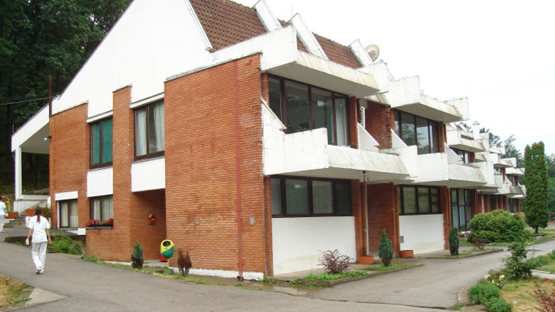 Direktor tvrdi da nije bilo vezivanja za krevet 1