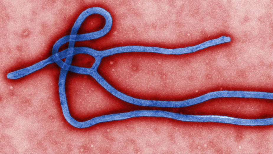 Kako lažne vesti otežavaju borbu sa ebolom 1