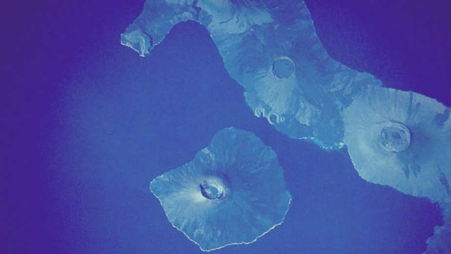 Fernandina, kornjača koja se pojavila nakon 100 godina 1