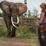 Premijera dečjeg filma “Mala gospođica Dulitl”u subotu (FOTO) (VIDEO) 5 Premijera dečjeg filma “Mala gospođica Dulitl”u subotu (FOTO) (VIDEO) 5