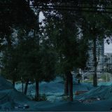 Film "Od sutra počinjem da" premijerno na Berlinskom filmskom festivalu 12