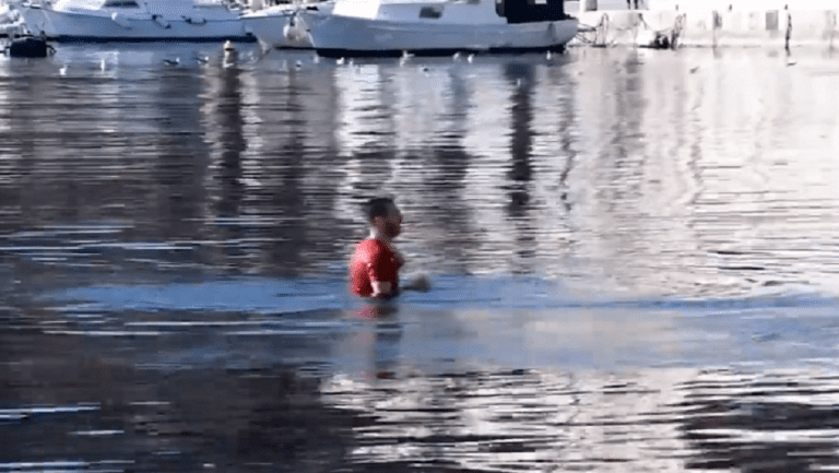 Priveden i četvrti napadač na Zvezdine vaterpoliste 1