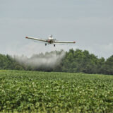 Zaprašivanje komaraca u Beogradu i u ponedeljak 4