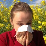 Kako se ponašati u nadolazećoj sezoni alergija? 1