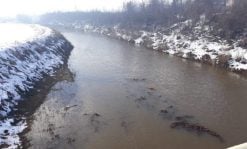 Vodostaj reka u porastu – trenutno stanje u Zaječaru (FOTO) 2