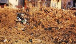 Da li je obala Crnog Timoka postala nova divlja deponija? (FOTO) 4