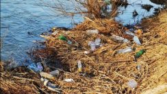 Da li je obala Crnog Timoka postala nova divlja deponija? (FOTO) 6