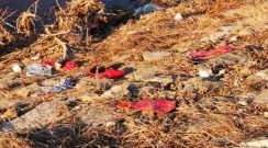 Da li je obala Crnog Timoka postala nova divlja deponija? (FOTO) 8