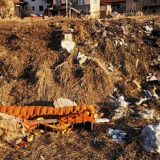 Da li je obala Crnog Timoka postala nova divlja deponija? (FOTO) 4