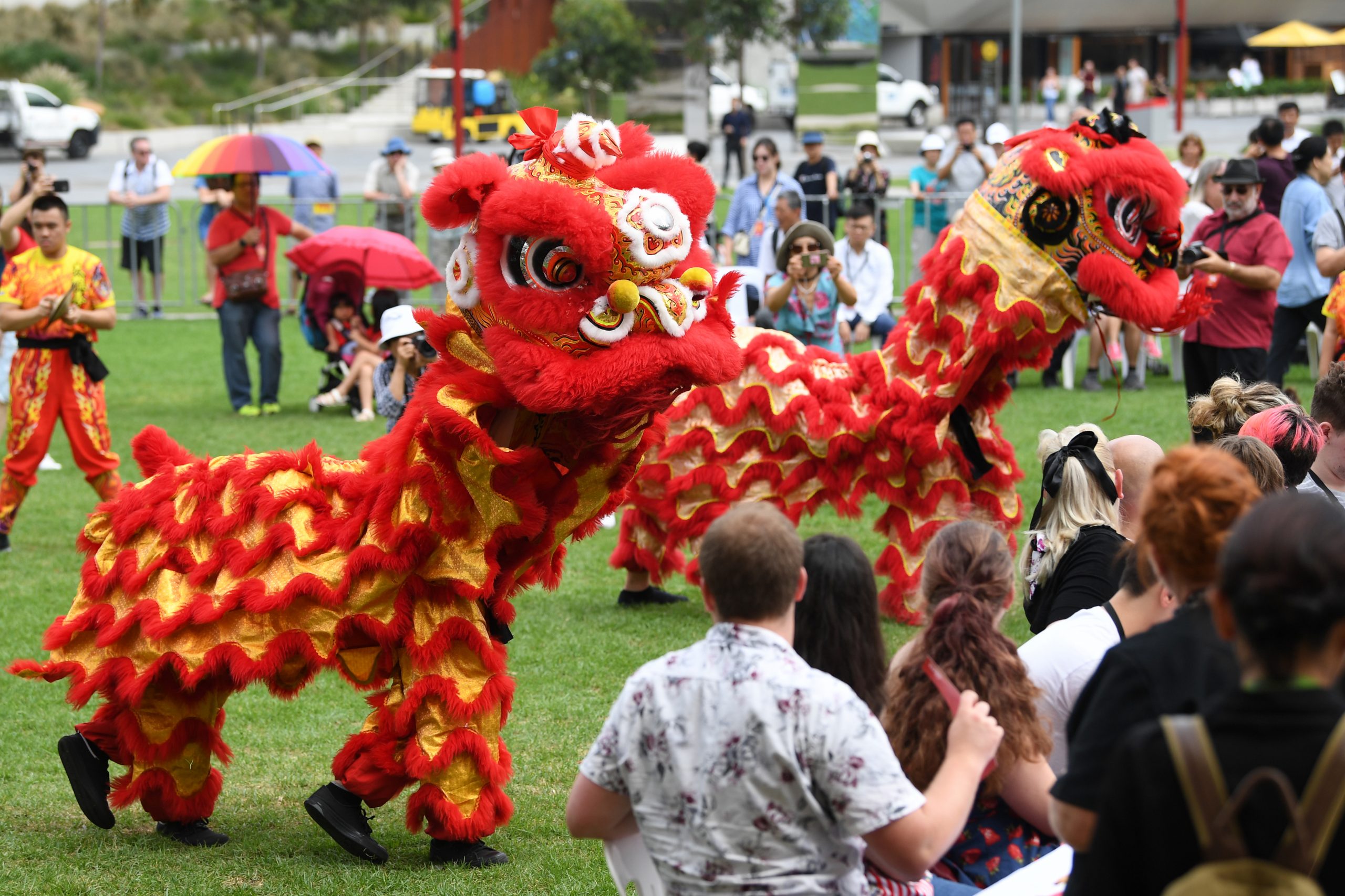 Danas počinje kineska Nova godina - godina svinje (FOTO) 4
