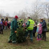 Nakon novogodišnjih praznika jelke sa busenom vraćene prirodi 2