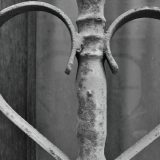 Preispitivanje identiteta i društveni angažman 14