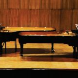 Madžarov elektricitet 1