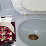 Turski med za potenciju u WC šolji autobuskog toaleta 7