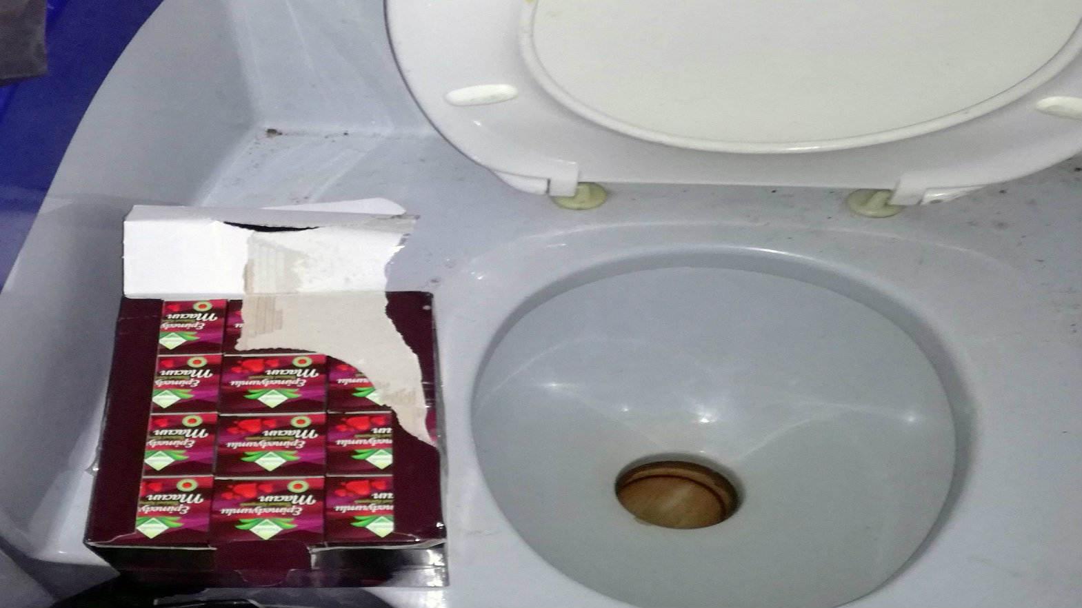 Turski med za potenciju u WC šolji autobuskog toaleta 1