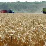 Država prisvojila akcije radnika i penzionera PKB-a 2