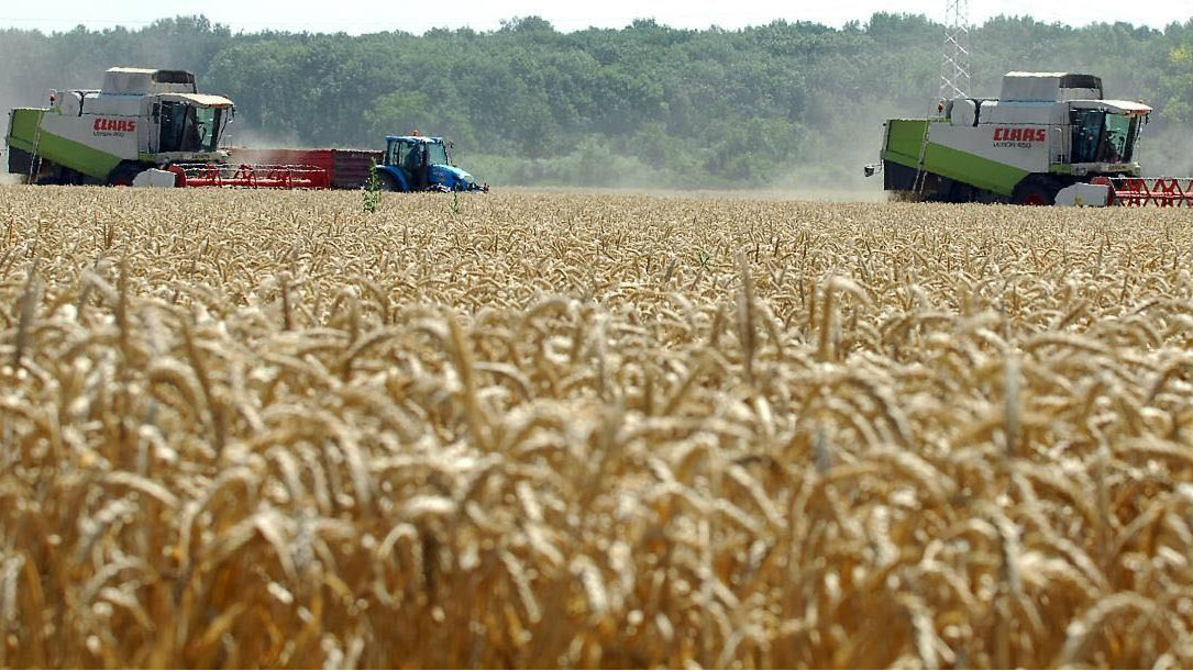 Država prisvojila akcije radnika i penzionera PKB-a 1
