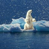 Globalno zagrevanje, situacija bez presedana 7