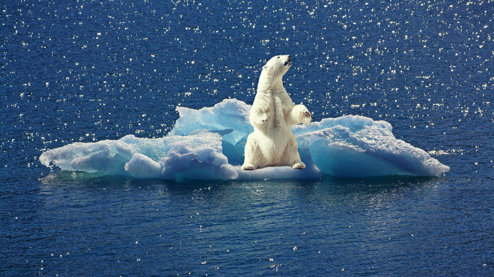 Globalno zagrevanje, situacija bez presedana 1