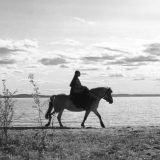 Filmski vodič od 21. do 28. februara 9