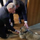 Božović: Obožavanje Vučića nalik obožavanju Putina 3