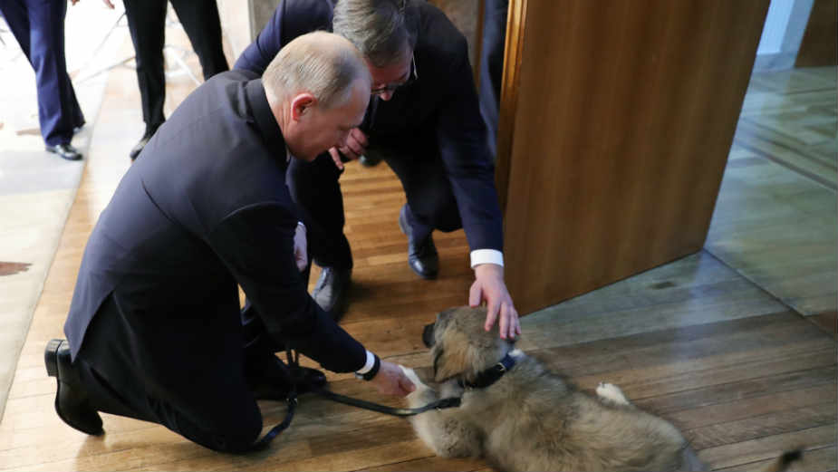 Božović: Obožavanje Vučića nalik obožavanju Putina 1