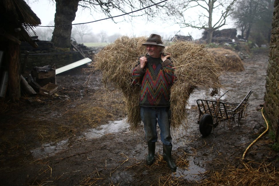 farmer Žan Bernard Jun