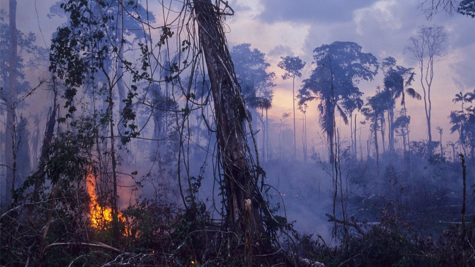 Šumski požar u Brazilu