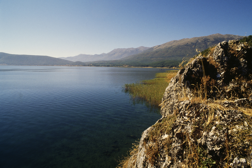 Prespansko jezero zaraslo u trsku