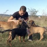 Milioni za pse lutalice: Od milosrđa do unosnog posla 10