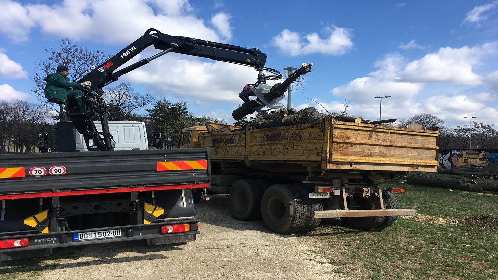 Beogradska gondola: Seča drveća na Ušću, da, gradnja - još ne 2 Seča stabala