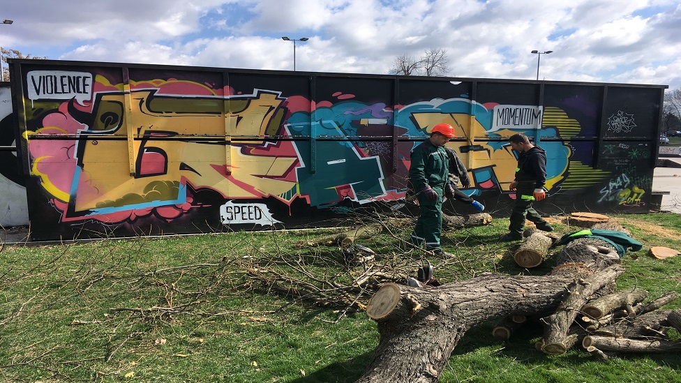 Beogradska gondola: Seča drveća na Ušću, da, gradnja - još ne 3 Seča stabala