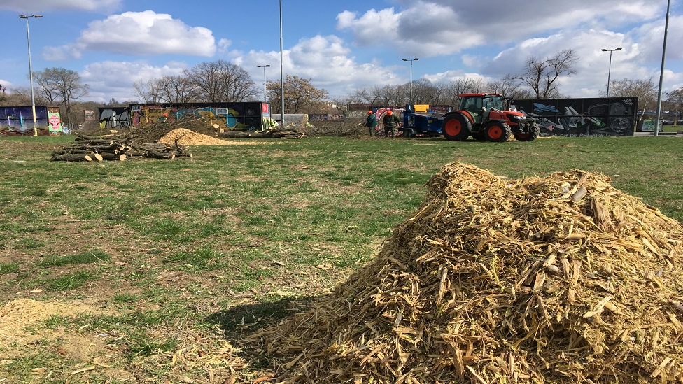 Beogradska gondola: Seča drveća na Ušću, da, gradnja - još ne 4 Seča stabala