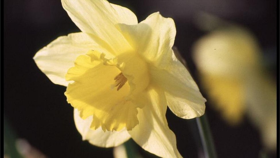 Kada stvarno počinje proleće: Odgovor zna samo Sunce 2 Proleće